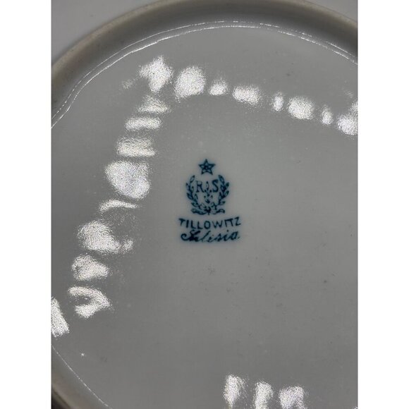 5 Pc Vintage Reinhold Schlegelmilch R.S.Tillowitz Germany Daisy Salad Plates - Picture 7 of 8